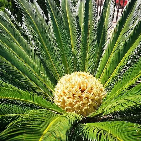 Appartamento Casa Ketti SantʼAntìoco