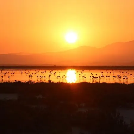 Appartamento Casa Ketti *