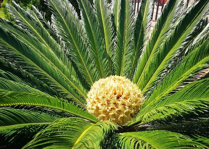 アパート Casa Ketti SantʼAntìoco