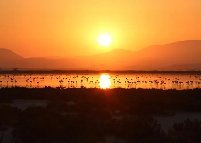 アパート Casa Ketti *